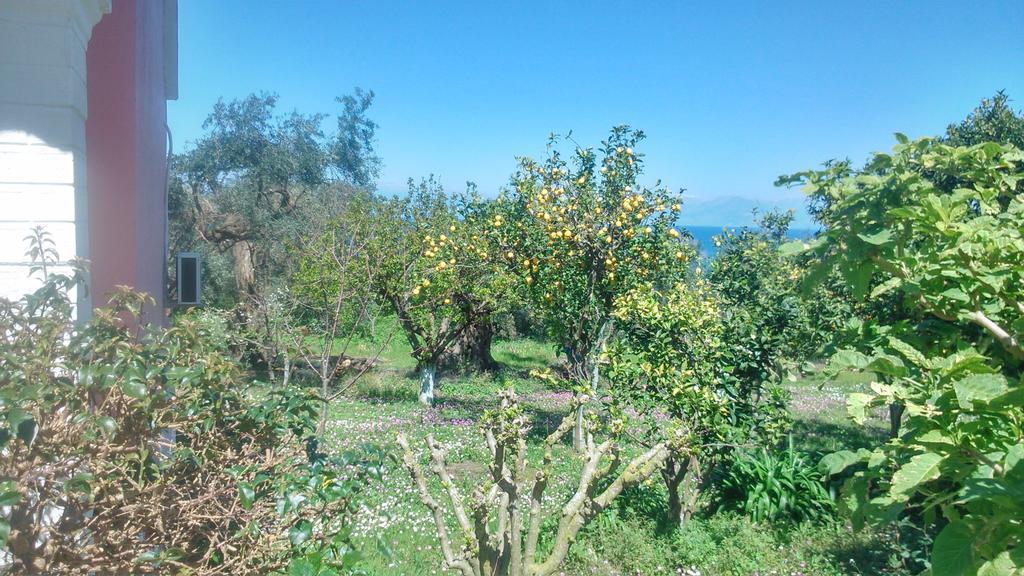 Maria'S Paradise Astrakeri Zewnętrze zdjęcie